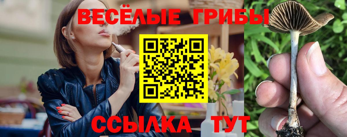 Галлюциногенные грибы Cubensis  Вход с VPN  как найти закладки  Юрга 